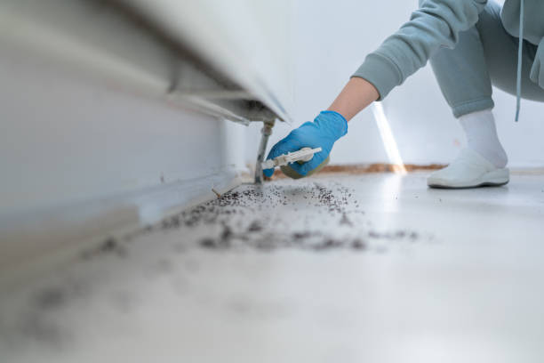 Pest Control Cost in Orland Park, IL